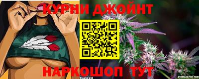 тгк Дмитров