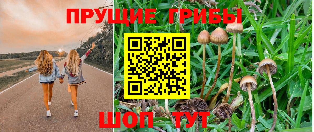 Галлюциногенные грибы прущие грибы  Вход с VPN  Щёлково 